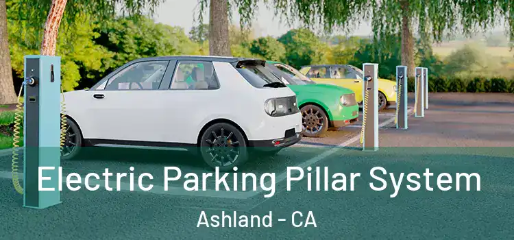 Electric Parking Pillar System Ashland - CA